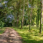 Prázdninový dům La Mamouniere - Nid Romantique