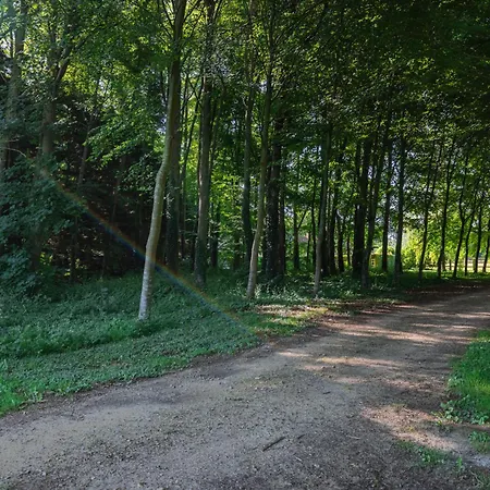 Holiday home Charmante Chaumiere Romantique Bieville-en-Auge
