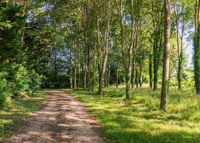 Casa vacanze Charmante Chaumière Romantique